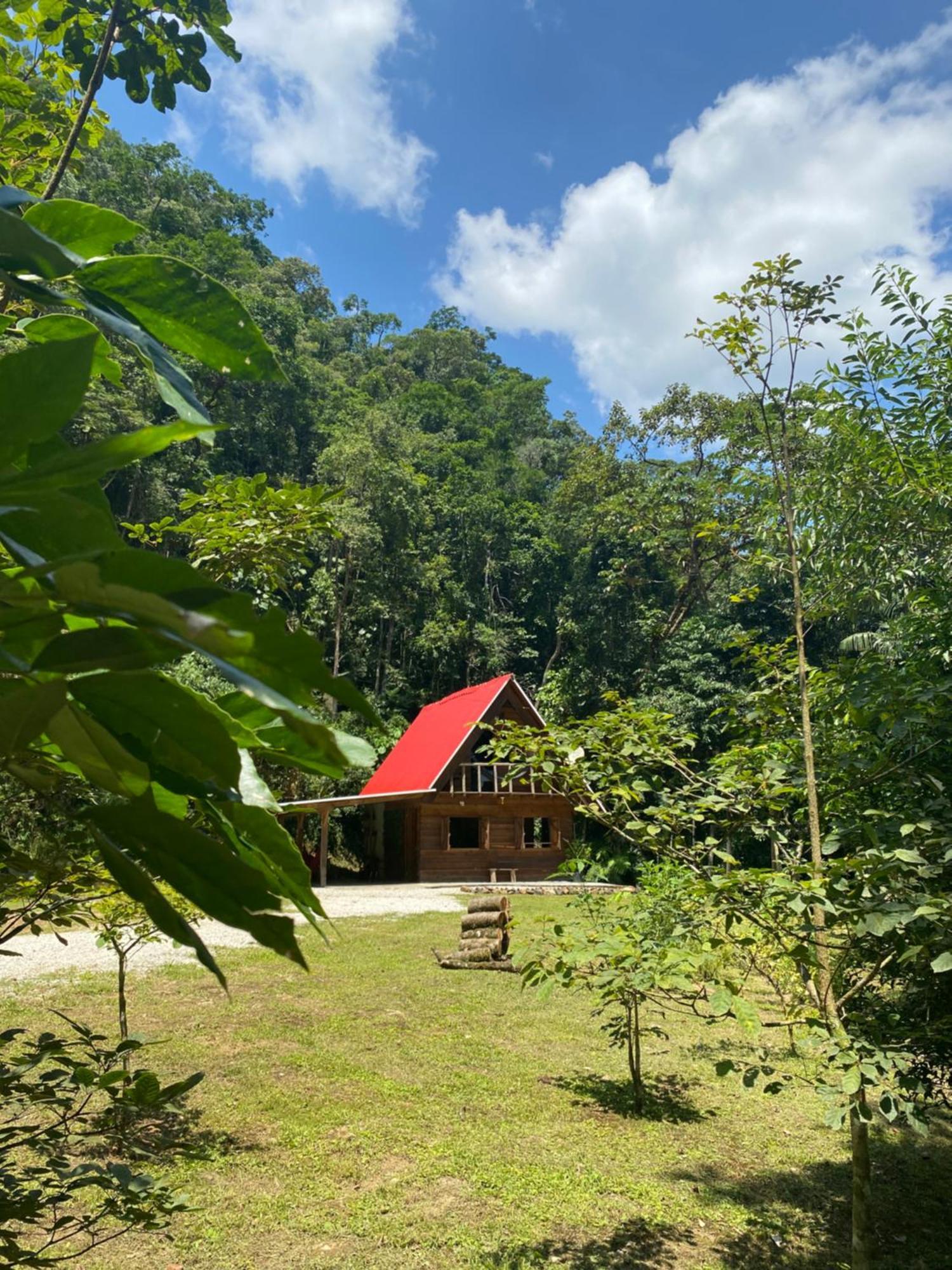 Chale Em Meio A Natureza! Guabiruba Exteriér fotografie